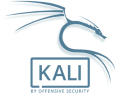 kali linux server